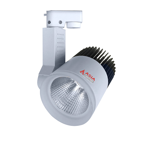 ĐÈN LED RỌI RTĐ 10W-1 MÀU
